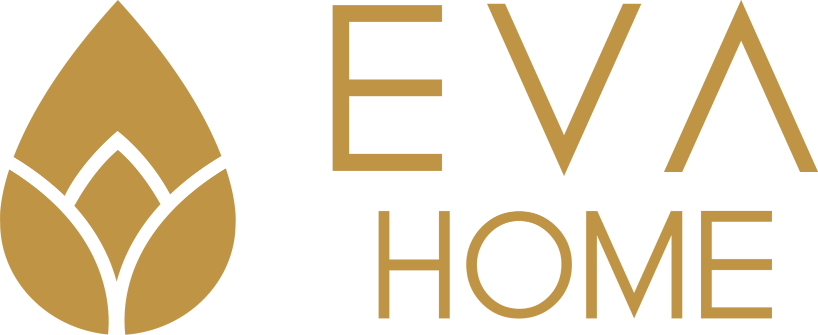Eva Home Cassino